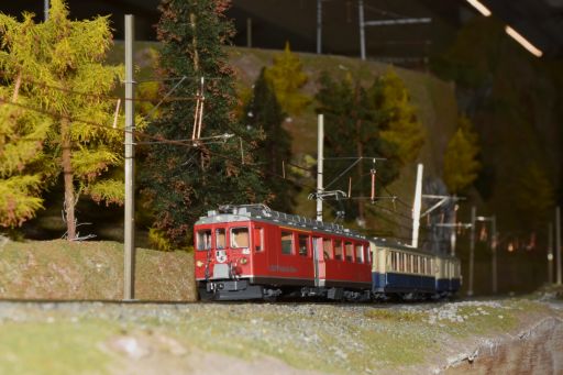MECF, Modelleisenbahn Club Flawil 